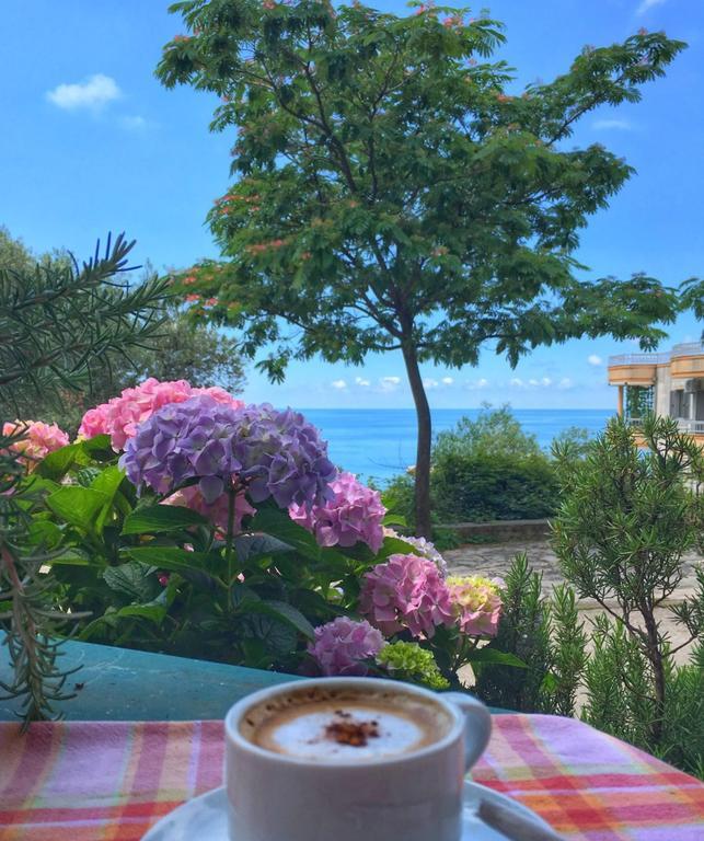 See View Apartment Budva Exterior photo